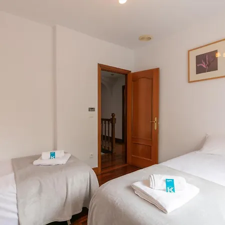 Ezkialderdi - Baskeyrentals Apartment Aia